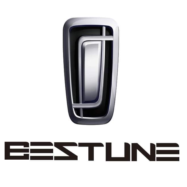 بيستون logo