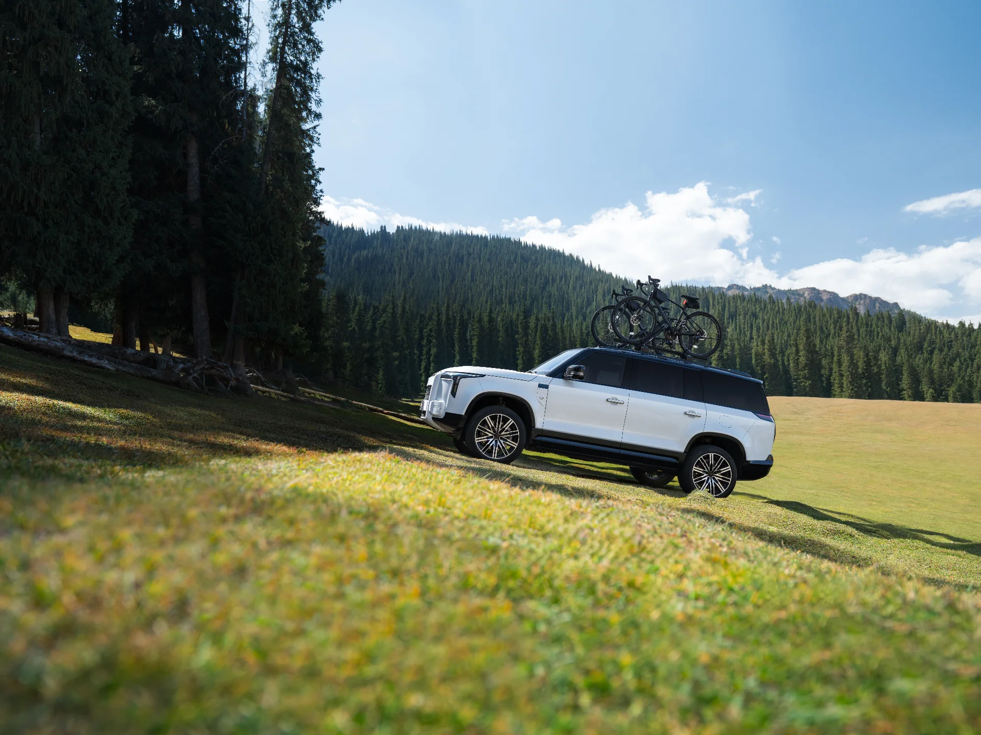 ROX Adamas 2026 - Exterior