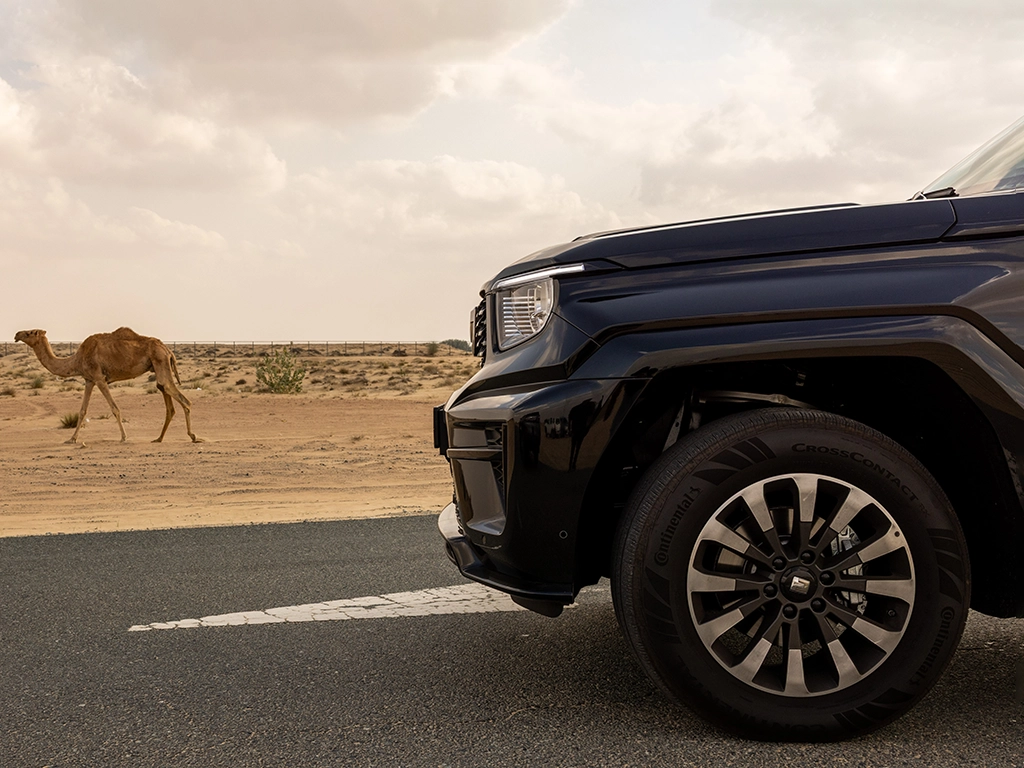 Tank 700 2026 - Other