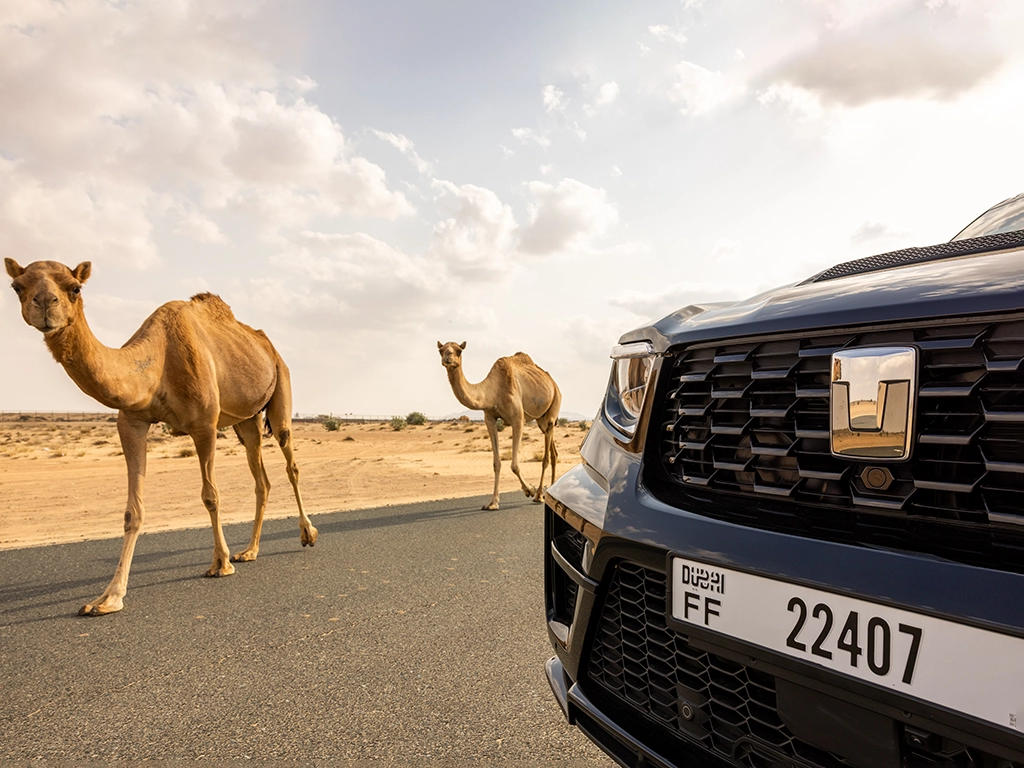 Tank 700 2026 - Other