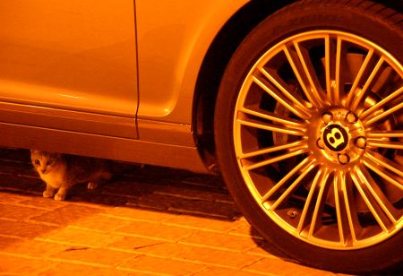 bentley-jebel-hafeet-9a.jpg