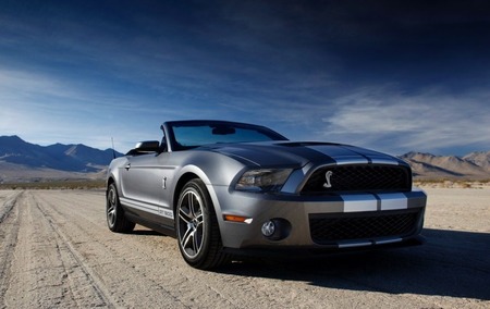 2010 Ford Shelby GT500 Mustang