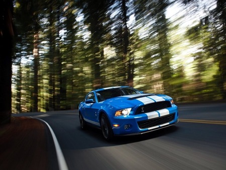 2010 Ford Shelby GT500 Mustang