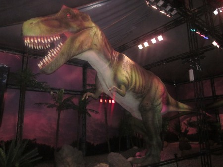tyranosaurus-rex
