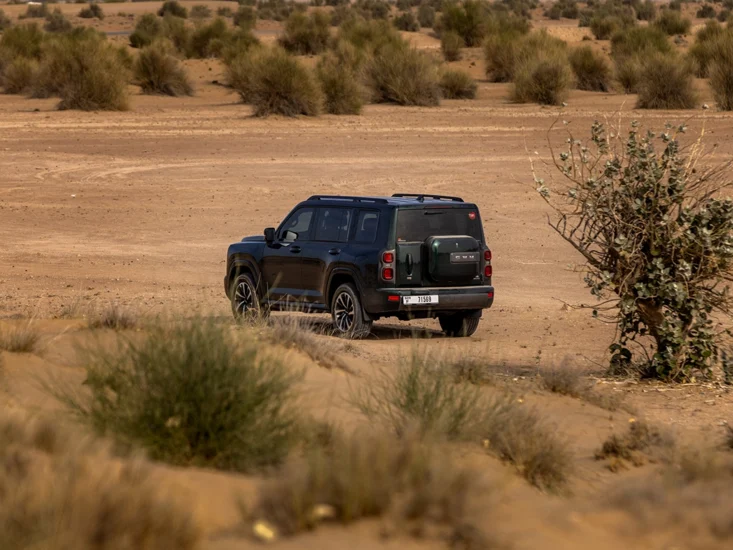 Haval H9