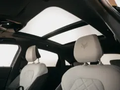 Arcfox Alpha S panoramic roof